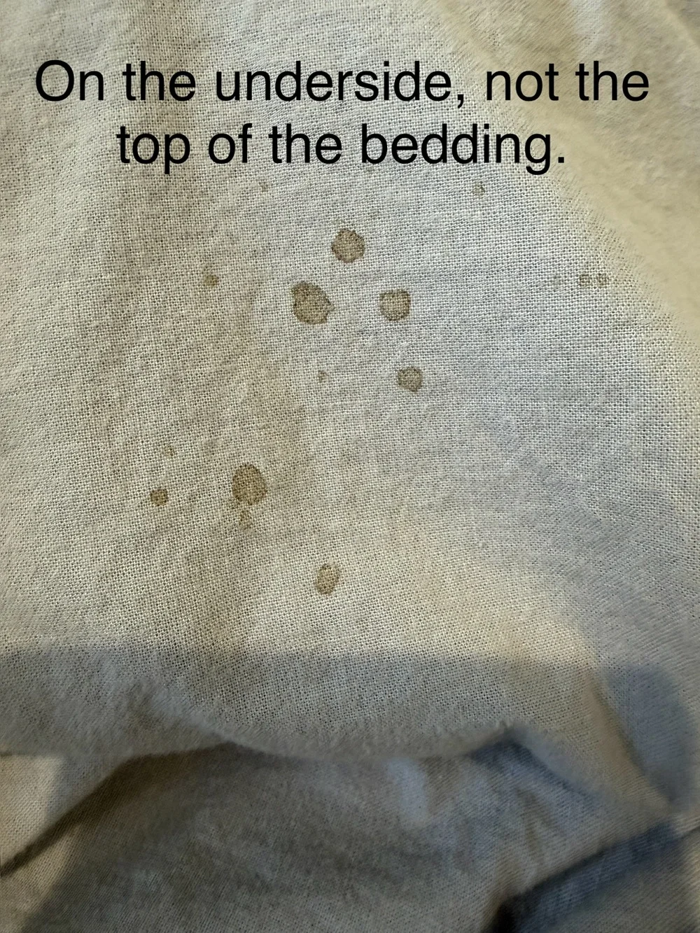 PB Teen, Light Blue Pom-Pom Cotton Queen Duvet Cover and shams - see photos